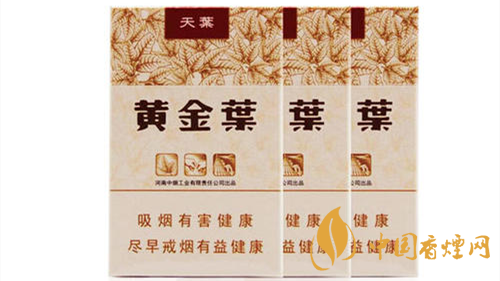 2020黃金葉天葉怎么樣？黃金葉大小天葉有什么不同