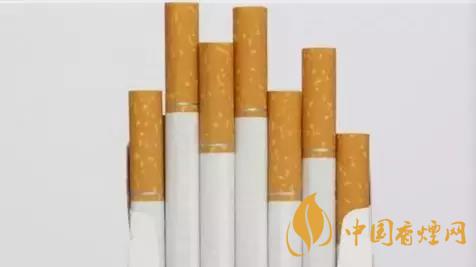 香煙和雪茄哪個(gè)好抽？香煙和雪茄八大區(qū)別介紹2020