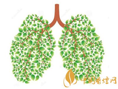 相比癌癥慢阻肺疾病離吸煙者更近！