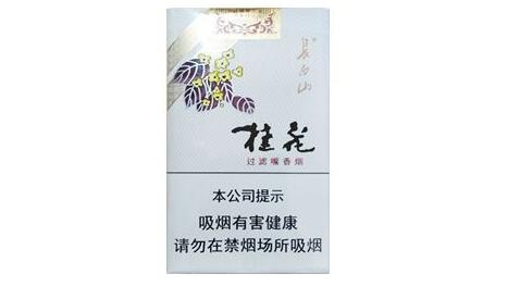 長白山(桂花)香煙價格表圖 長白山桂花煙多少錢