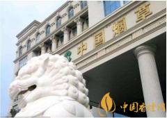 國(guó)家發(fā)話了：煙草系統(tǒng)腐敗制度不夠透明必須整治！